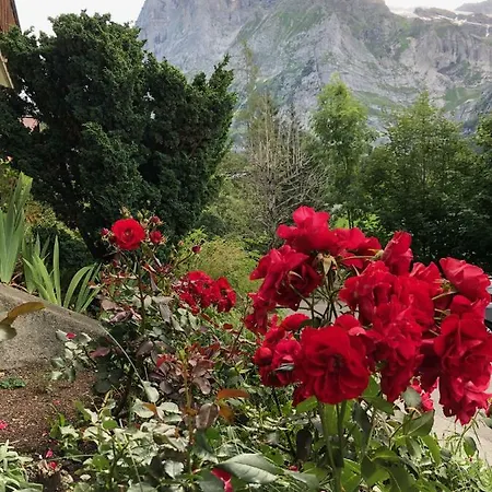 ツア ヘーエ アパート グリンデルヴァルト