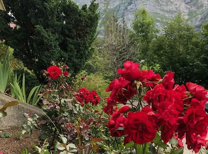 Zur Höhe Apartment Grindelwald